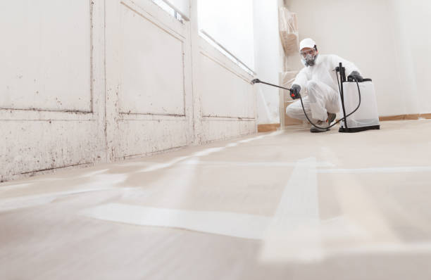 24/7 Emergency Black Mold Removal experts in Fort Belvoir, VA